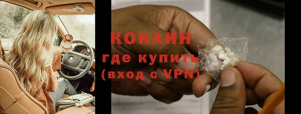 сатива Волоколамск
