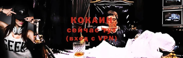 сатива Волоколамск