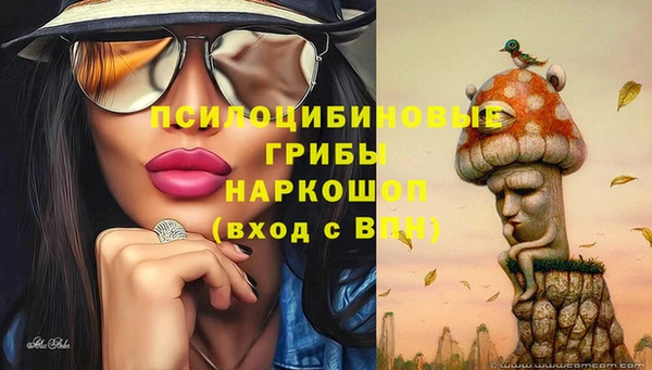 стафф Вязники