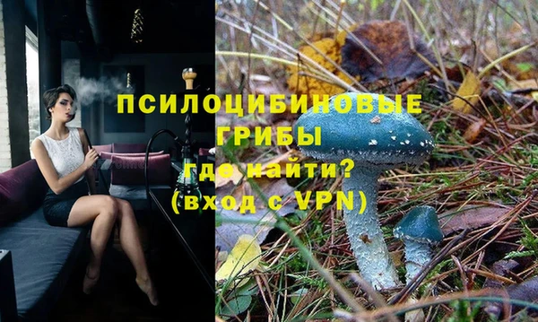 эйфоретик Володарск