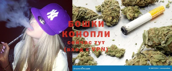 сатива Волоколамск