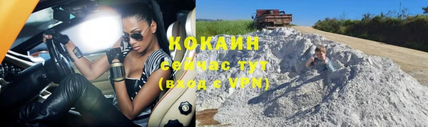 сатива Волоколамск